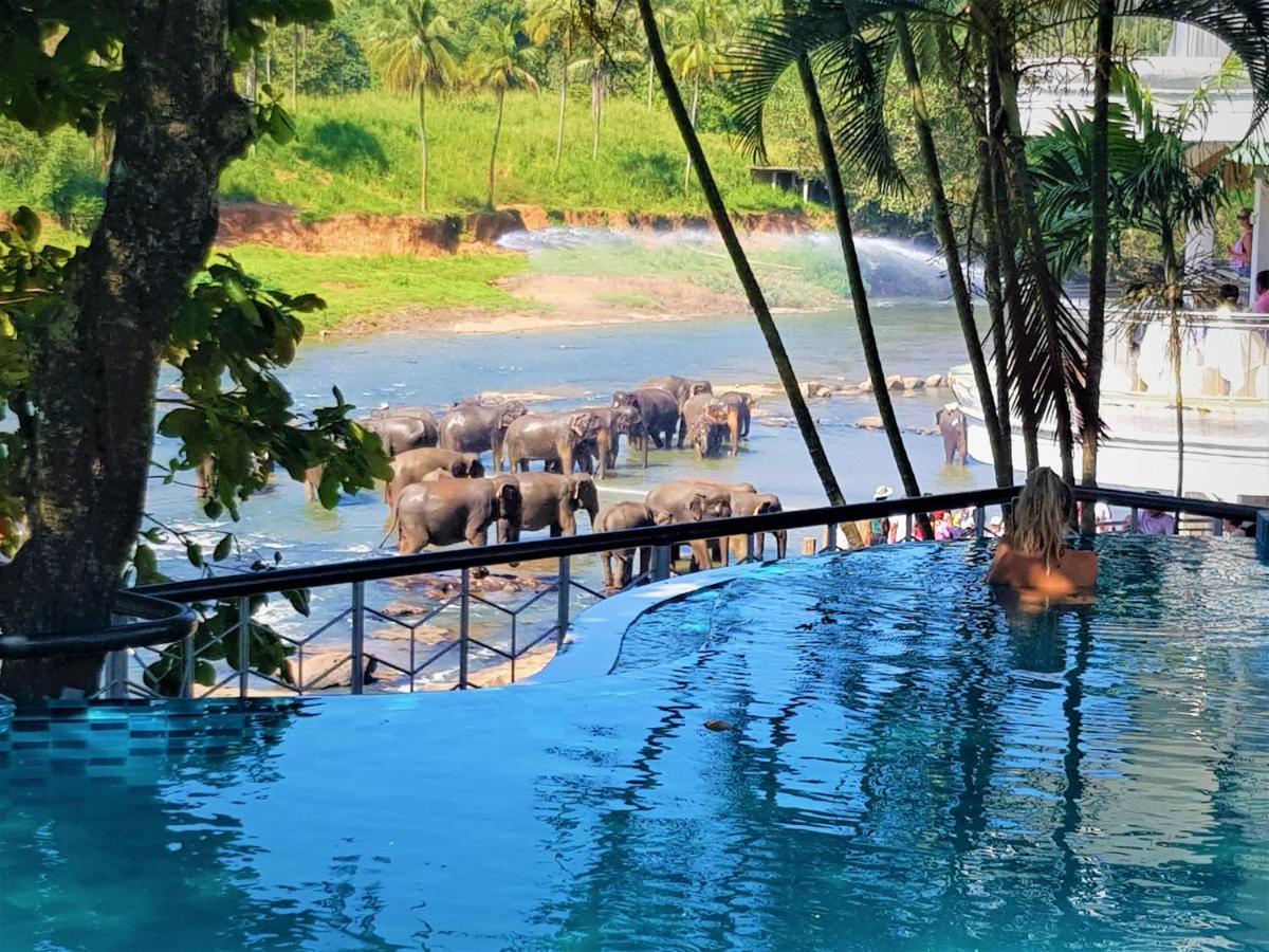 Hotel Elephant Park "Grand Royal Pinnalanda" Pinnawala  Exterior photo